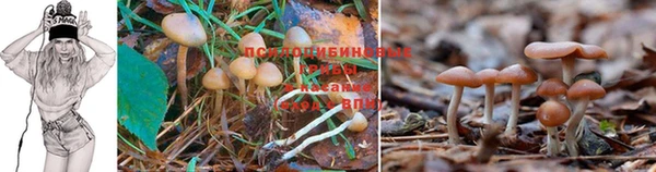мефедрон VHQ Няндома
