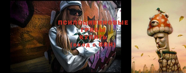 МДПВ Гусев