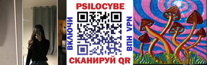 Псилоцибиновые грибы мицелий  Новосокольники 