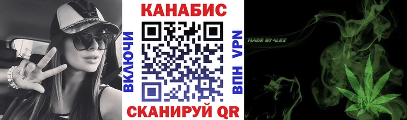 наркотики  Новосокольники  Конопля сатива 